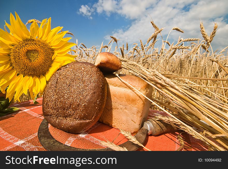 The bread, blossoming sunflower, old sickle and wheat stalks in the field. The bread, blossoming sunflower, old sickle and wheat stalks in the field.
