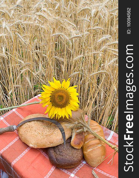 The bread, blossoming sunflower, old sickle and wheat stalks in the field. The bread, blossoming sunflower, old sickle and wheat stalks in the field.