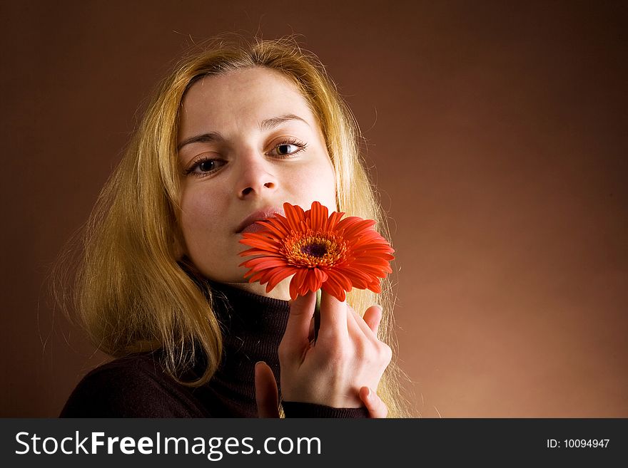 A beautiful womanin brown jumper posing with a red flower on a dark background. A beautiful womanin brown jumper posing with a red flower on a dark background