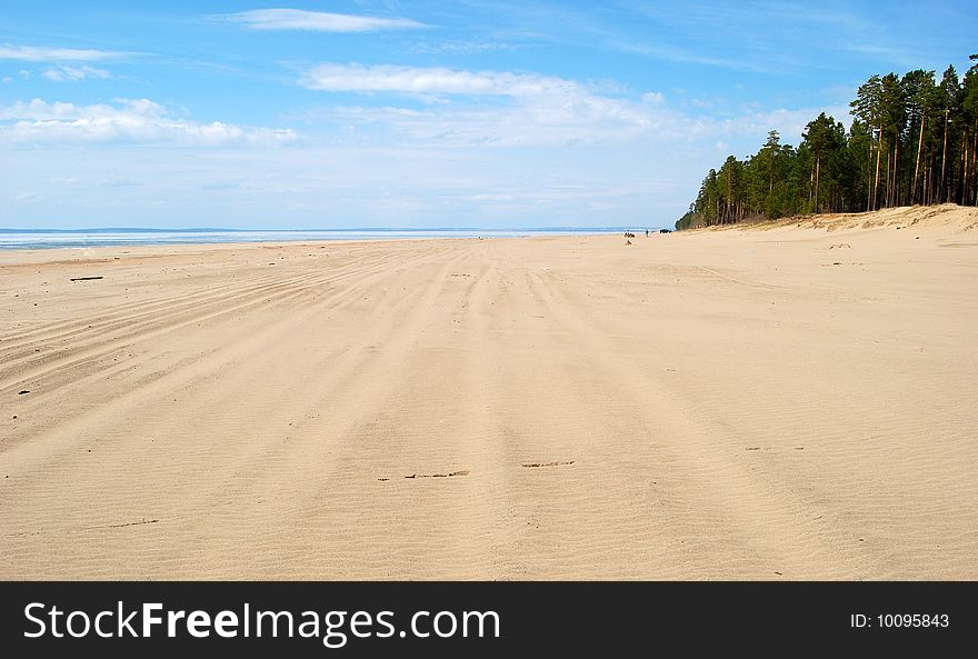 Traces of cars on deserted beaches