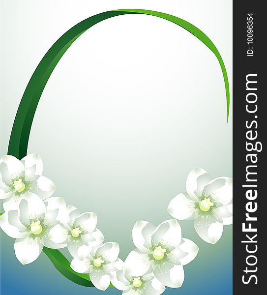 White orchid with green leaf on the blue background. White orchid with green leaf on the blue background