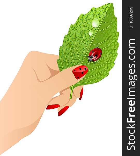 Vector Female S Hand With Leaf
