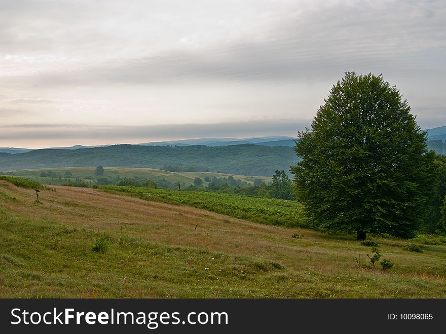 A landscape view into a beautiful morning. A landscape view into a beautiful morning.