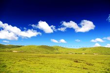 The Alpine Grassland Scenery On The Qinghai Tibet Plateau Stock Image The Alpine Grassland Scenery On The Qinghai Tibet Plateau Stock Image