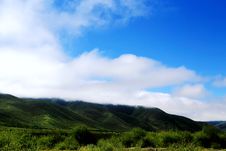 The Alpine Grassland Scenery On The Qinghai Tibet Plateau Royalty Free Stock Photo The Alpine Grassland Scenery On The Qinghai Tibet Plateau Royalty Free Stock Photo