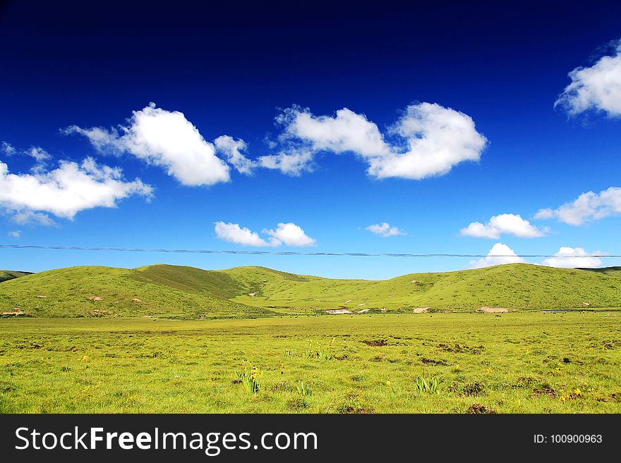The Alpine Grassland scenery on the Qinghai Tibet Plateau , located in Qinghai province , China