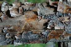 Pine Plank Royalty Free Stock Photos Pine Plank Royalty Free Stock Photos