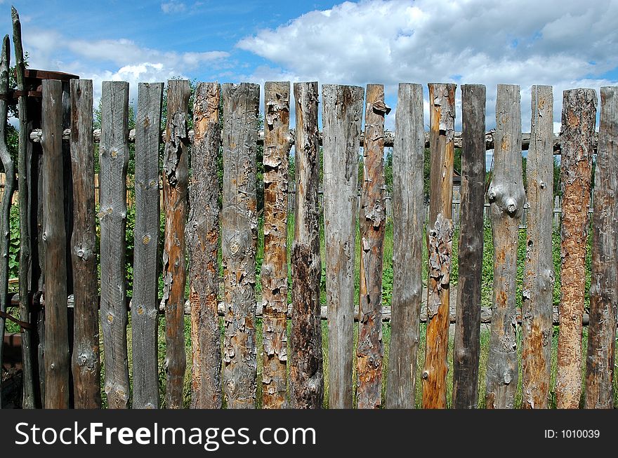 Pine fence