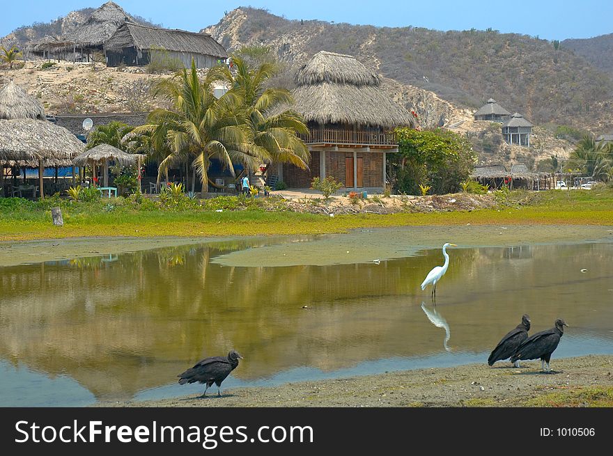 Pond in Maruate, Michoacan, Mexico