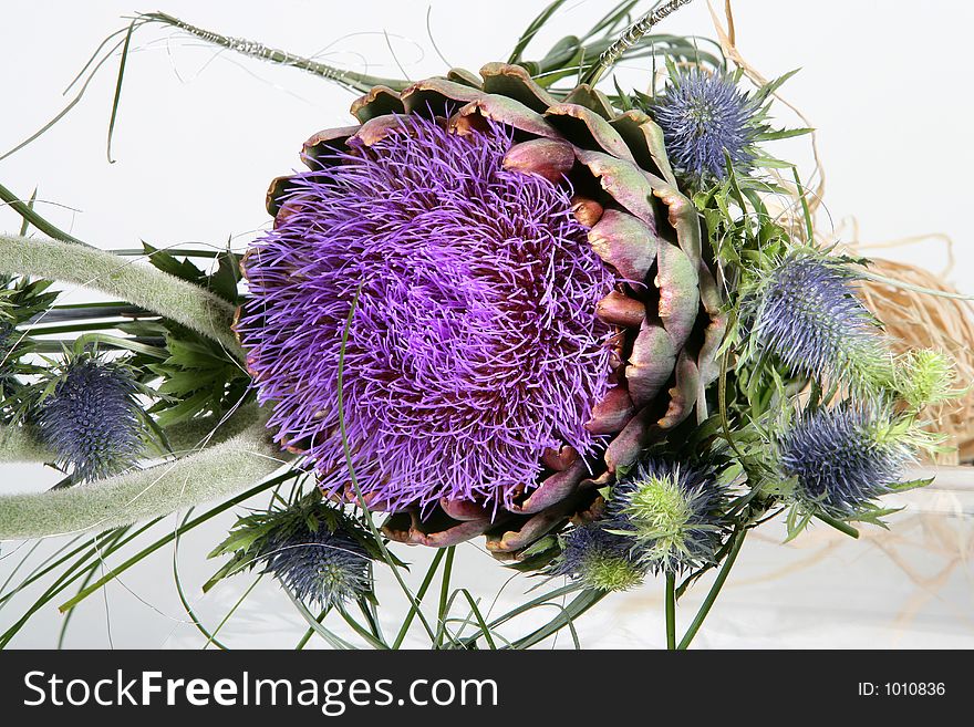 Violet flower composition on white