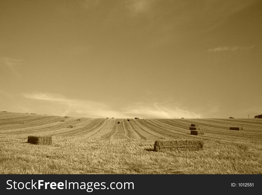 Bales of starw in a field against a blue sky. Bales of starw in a field against a blue sky