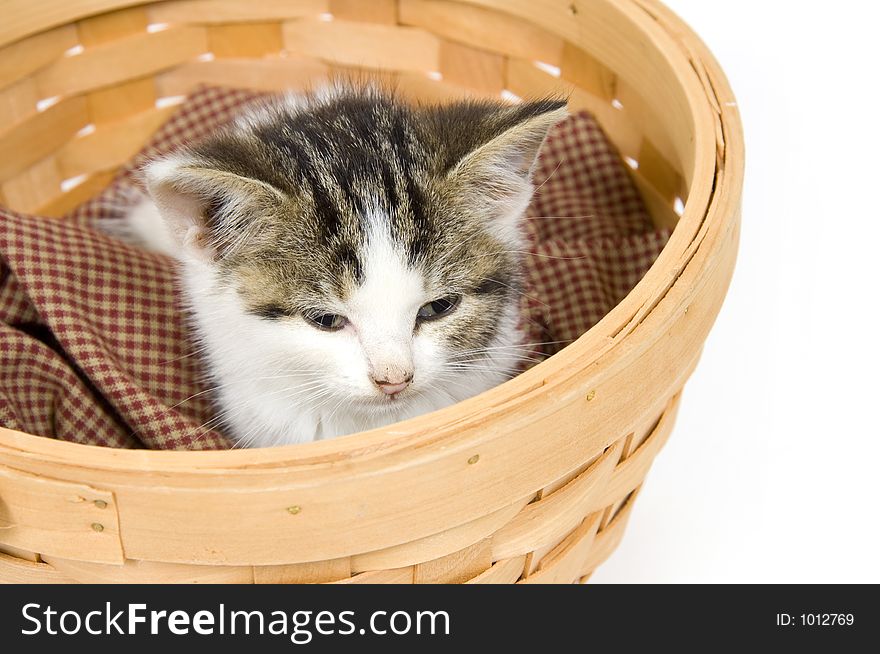 A kitten rests inside of a basket on white background. A kitten rests inside of a basket on white background.