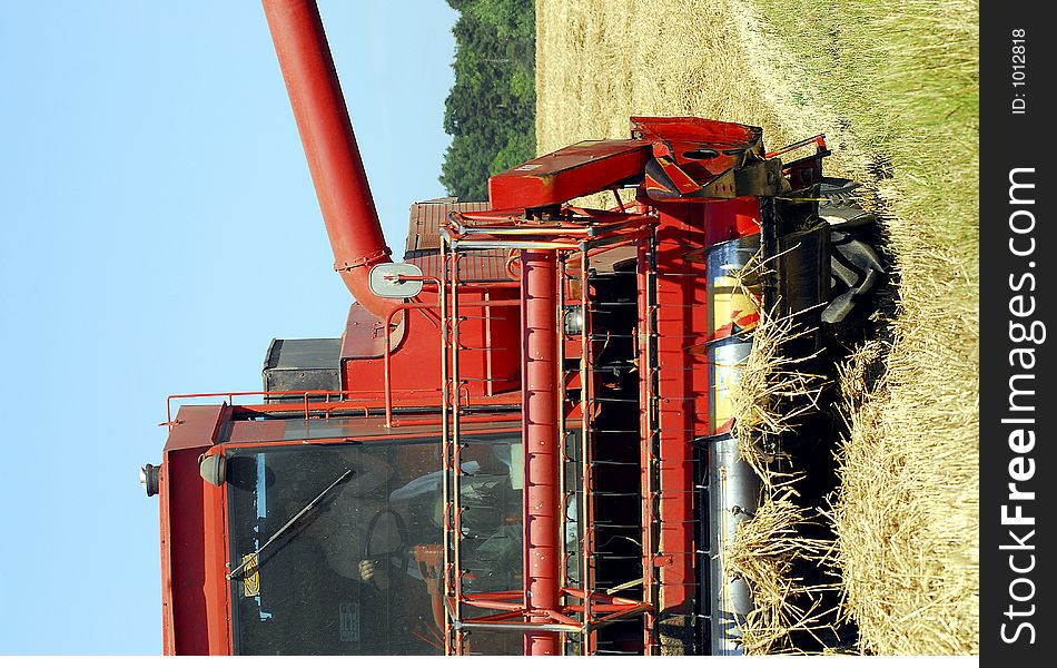 Harvest time in an English wheat field