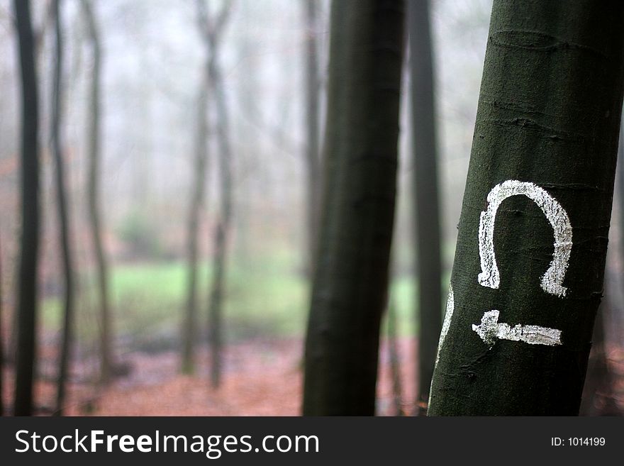 Trees And Forest