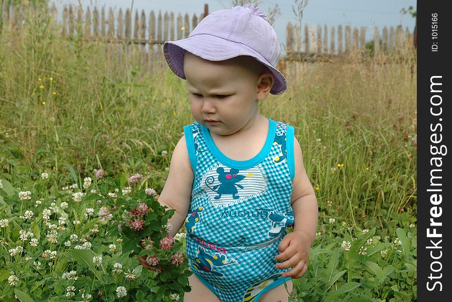 Little Girl In Clover Meadow