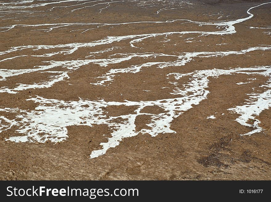 Foam on the beach. Foam on the beach