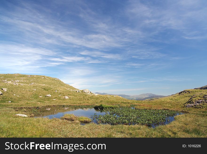 Small Tarn In Summertime