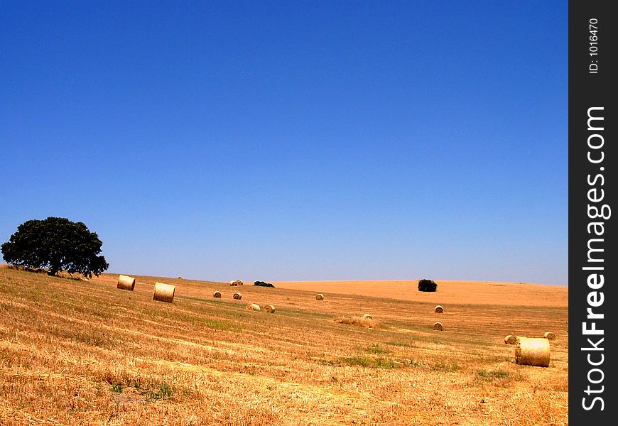 Image of the fields of the Alentejo during the dry station, when some months without rain elapse. Image of the fields of the Alentejo during the dry station, when some months without rain elapse.