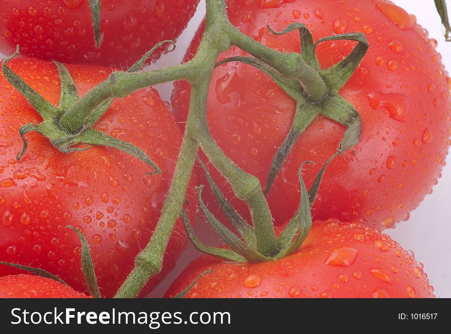 Tomatoes with rain drops