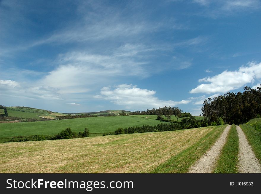 Wonderful summer landscape