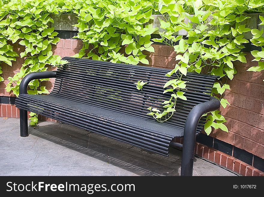 A very peaceful corner bench seat in this garden. A very peaceful corner bench seat in this garden