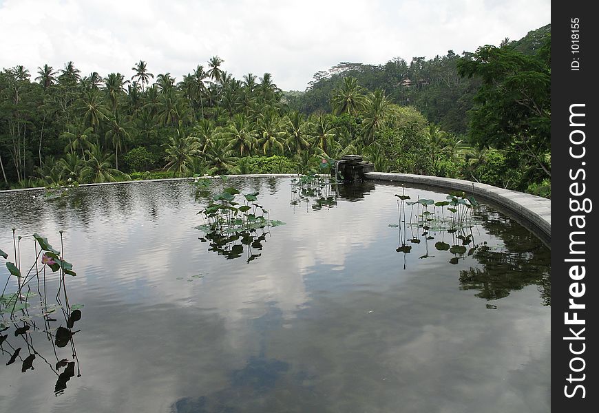 A rooftop pond at the Four Seasons Sayan in Bali. A rooftop pond at the Four Seasons Sayan in Bali.