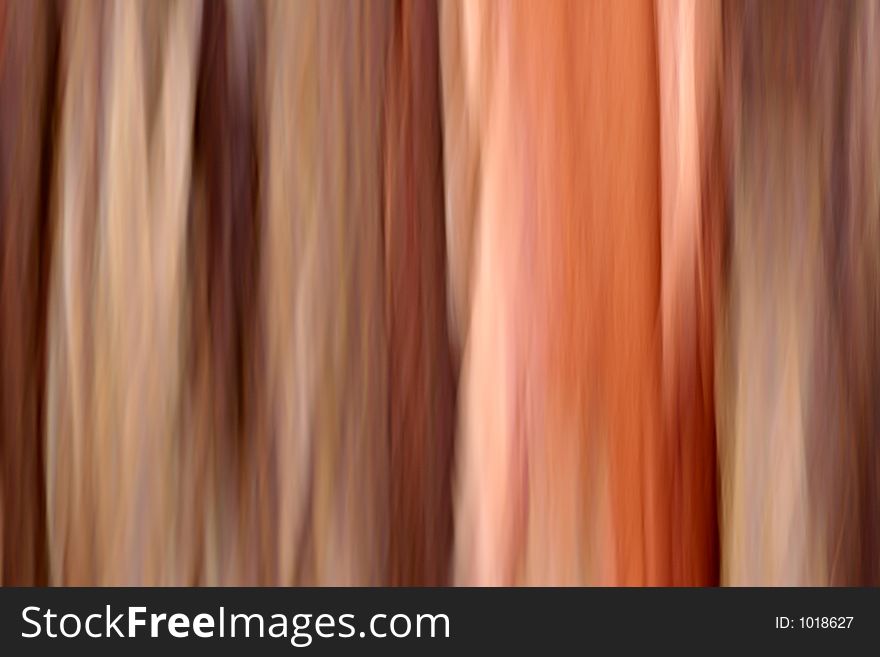 Not created abstractions,tree trunk shot while panning the camera