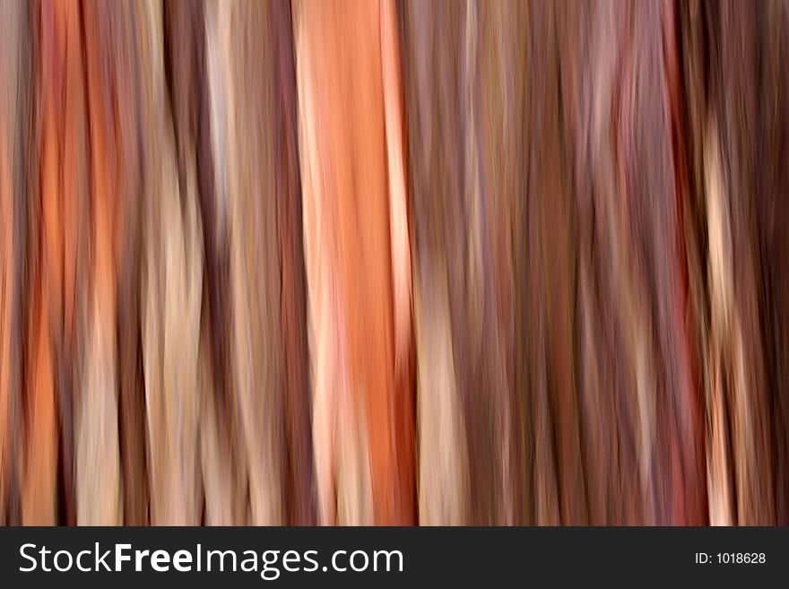 Not created abstractions,tree trunk shot while panning the camera