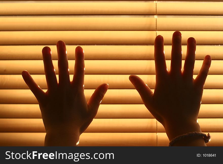 Hands of children in the sun behind a shutter. Hands of children in the sun behind a shutter