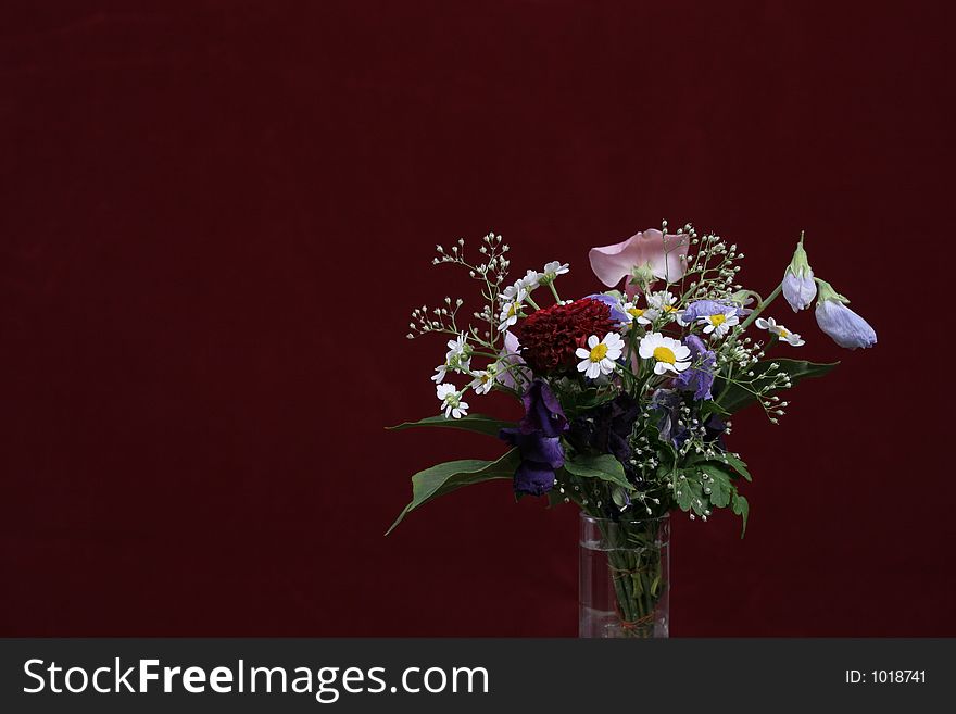 Flowers On The Purple Bakcround