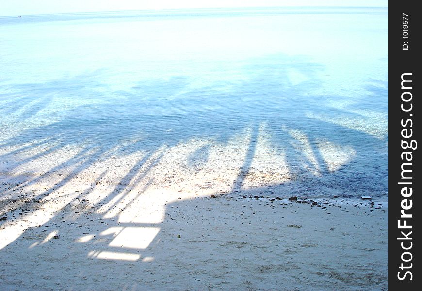 Shot from Kho Phangan, Thailand, with shadow of palms in the blue ocean. Shot from Kho Phangan, Thailand, with shadow of palms in the blue ocean.