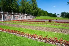 Flower-bed Royalty Free Stock Image Flower-bed Royalty Free Stock Image
