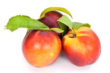 Fresh Ripe Peach , Close Up Stock Photo Fresh Ripe Peach , Close Up Stock Photo