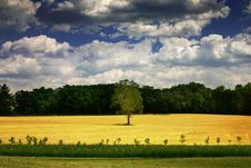 Clouds Over A Field With A Lone Tree Royalty Free Stock Photography Clouds Over A Field With A Lone Tree Royalty Free Stock Photography