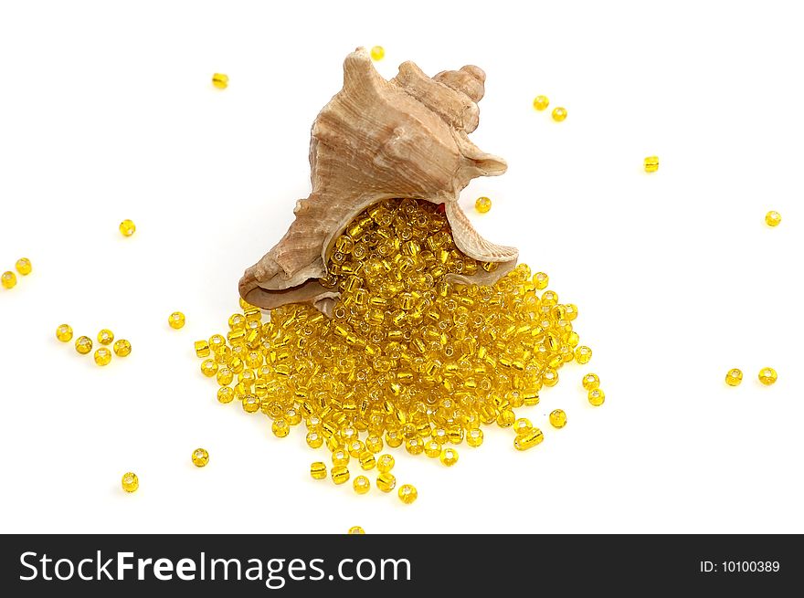 Seashell with yellow beads on a white background