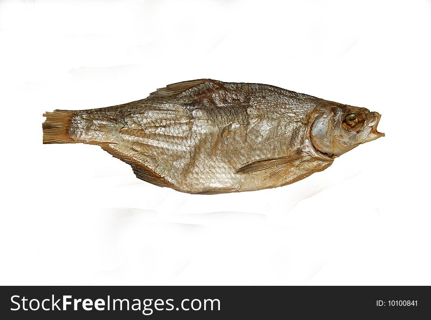 Close-up dried fish on white background