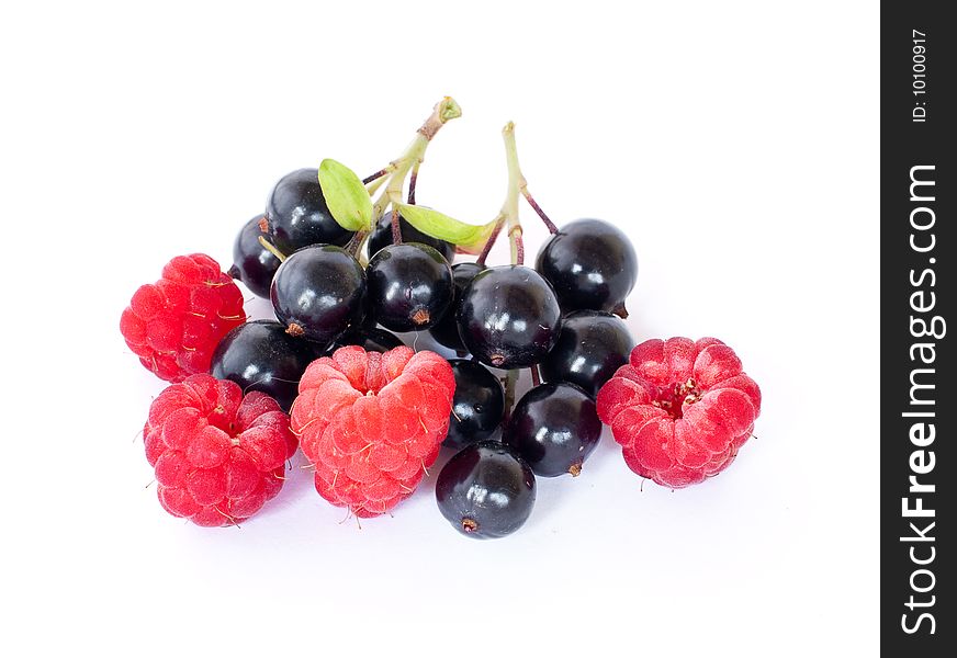 Black currant and raspberry on white background. Black currant and raspberry on white background.