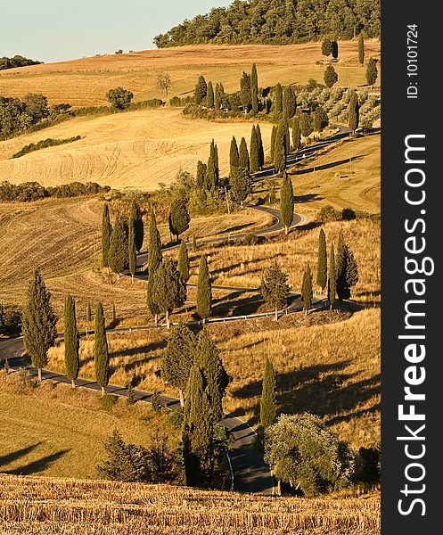 Road winding up among hills in Toscana