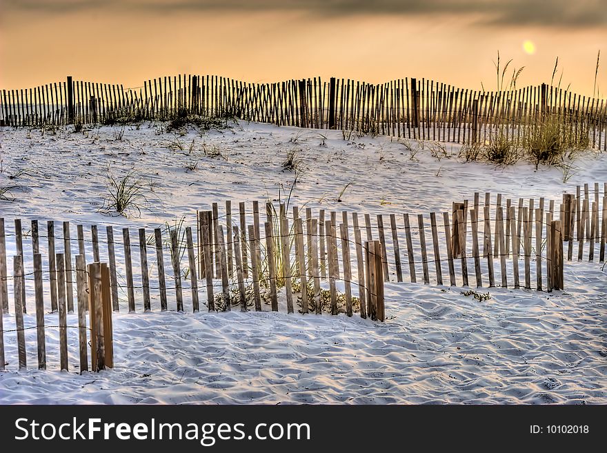 Early morning beach with dune fence