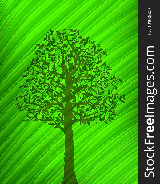 Green tree shadow over a big leaf (vector image)