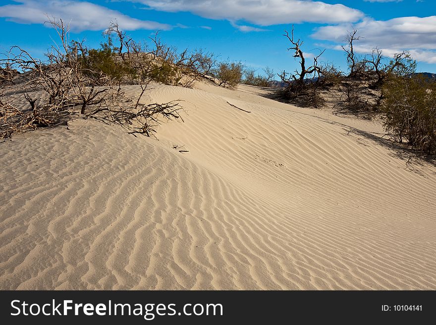 Mesquite sand dunes under dramatic sky in Death Valley National Park, California.