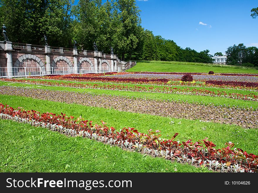 Flower-bed in a summer garden