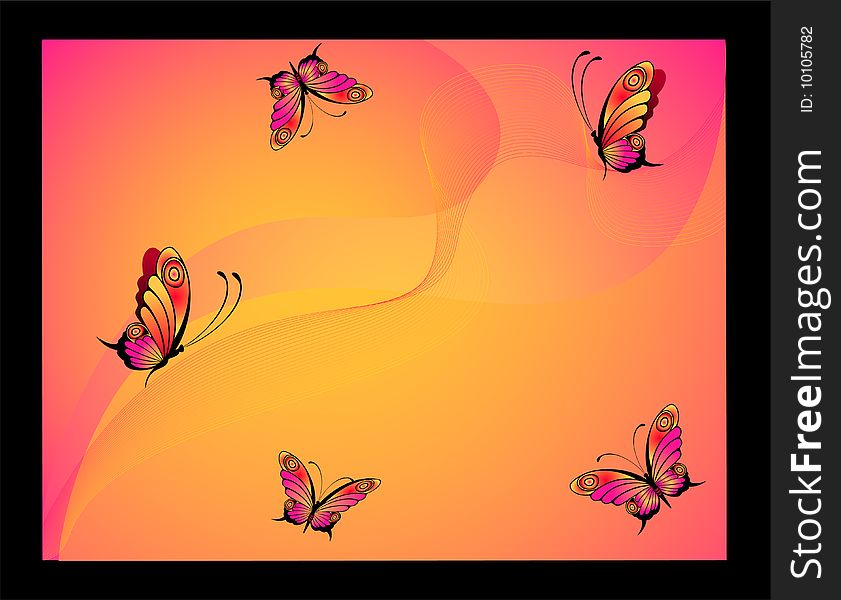 Very beautiful butterflies on an orange background. Very beautiful butterflies on an orange background