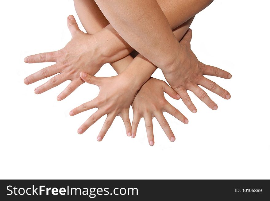 Group Of People Hands On White Background