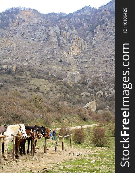 The horses are standing tied to the wooden fence high in the mountains. The horses are standing tied to the wooden fence high in the mountains