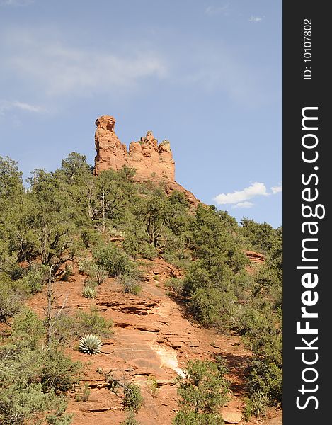 Red Rock landscape while hiking in Sedona Arizona. Red Rock landscape while hiking in Sedona Arizona