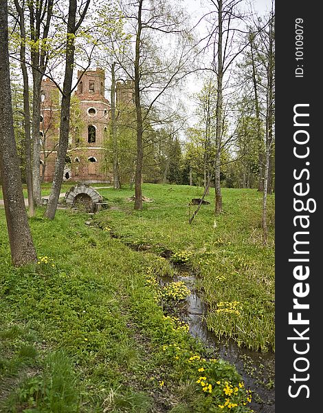 Spring-well with yellow flowers and ruins behind