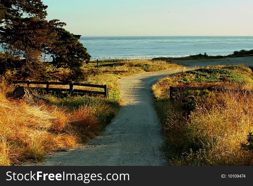 A beautiful walking path near the pacific ocean in California. A beautiful walking path near the pacific ocean in California