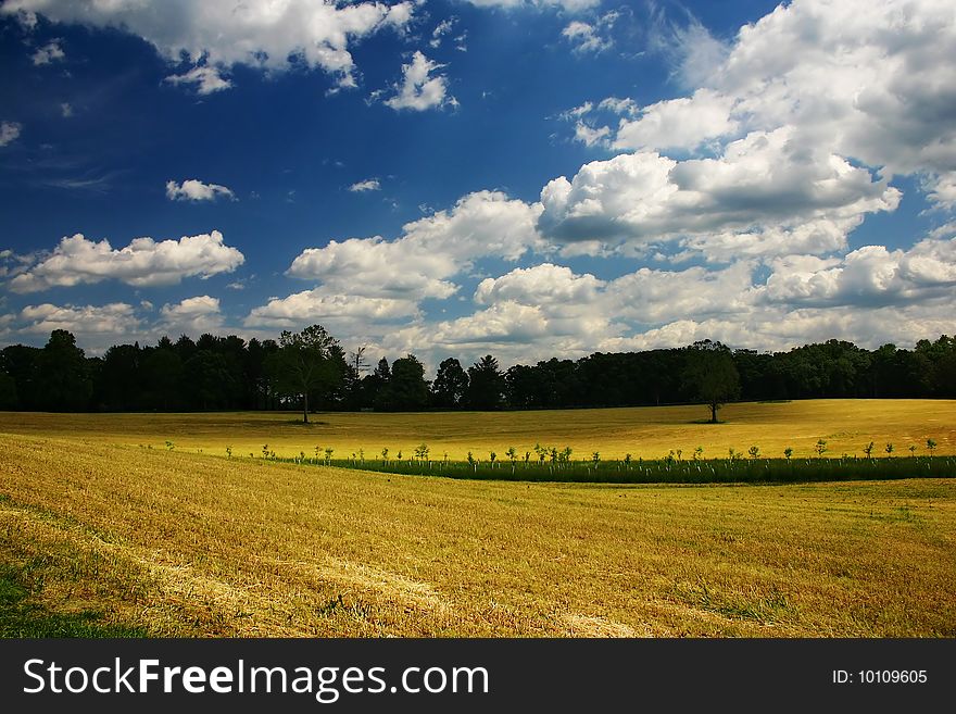 A field with clouds passing over head. A field with clouds passing over head