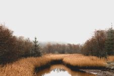 Free Waterway, Wetland, Reflection, Nature Reserve Stock Images - 101009614